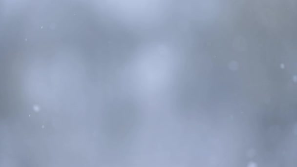 Природный феномен зимой, дуновение снега и ветра, вид из окна в доме в деревне, замедленное движение снежинки, видео замедленного движения. — стоковое видео