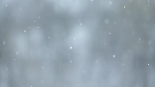 Zeitlupe der Schneeflocken, Winter im Dorf, Blick auf Schneefall aus dem Fenster, verschwommene Bewegung und Bokeh. — Stockvideo