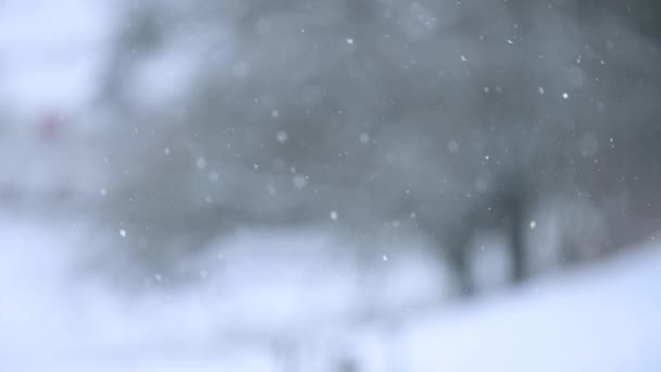 Zima i jej naturalne zjawiska, powolny ruch śniegu, dzienne opady śniegu, widok z okna, malowniczy i wspaniały widok płatków śniegu. — Wideo stockowe