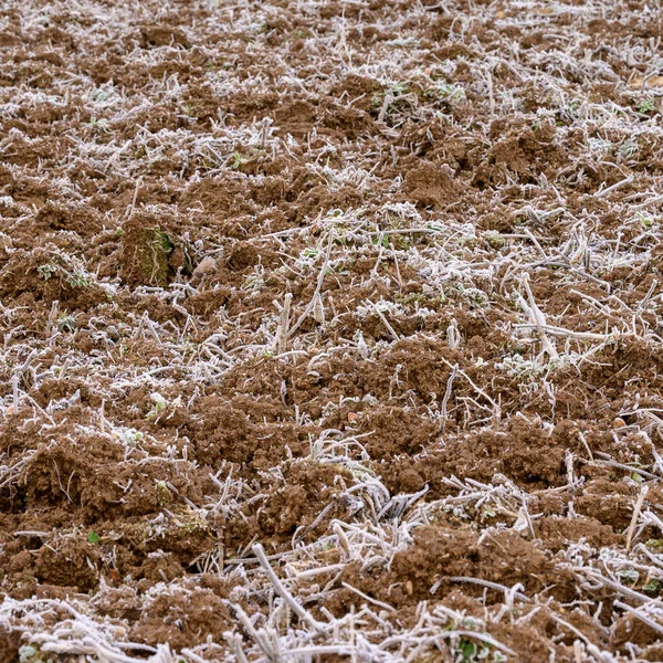 土壤被春天的霜冻覆盖 冬天过后地面苏醒 土壤开裂 春天的早晨 — 图库照片