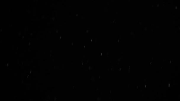 黒い背景に白い雪のボケスローモーションビデオ。夜空を背景に雪の結晶が落下し、グラフィックエディターでポストプロダクションとオーバーレイのために隔離されています. — ストック動画