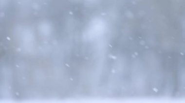 Yavaş yavaş yağan kar, kışın arka planda bulanıklık, muhteşem bir mevsim..