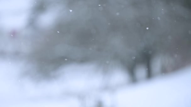 Зима и ее природные явления, медленное движение снега, дневной снегопад, вид из окна, живописный и сказочный вид на снежинки. — стоковое видео