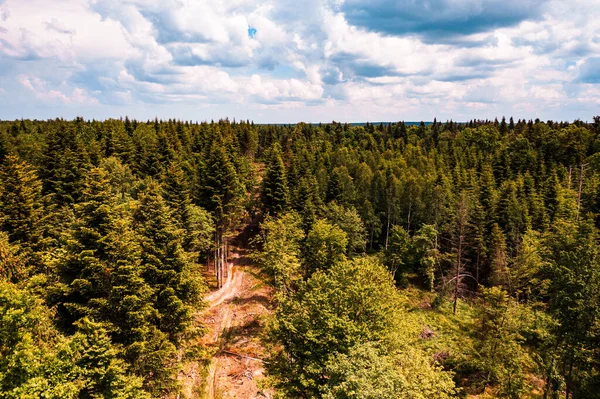 Erdőpusztítás Teljes Erdőirtás Révén Illegális Módon Felülnézetből Természet Pusztító Pusztítása — Stock Fotó
