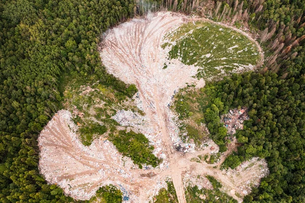 Destrucción Los Bosques Sistema Ecológico Por Eliminación Basura Los Bosques —  Fotos de Stock