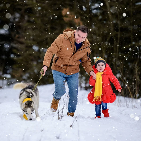 Família Feliz Passeio Floresta Com Husky Correndo Com Cão Jogos — Fotografia de Stock