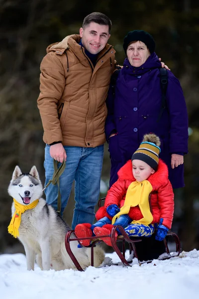 Familie Der Dritten Generation Großmutter Sohn Und Enkelin Winterwald Husky — Stockfoto