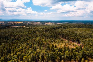 Ormanların tamamen yok edilmesi, yasadışı bir şekilde, en üst düzeyde, doğanın yıkıcı yıkımı..