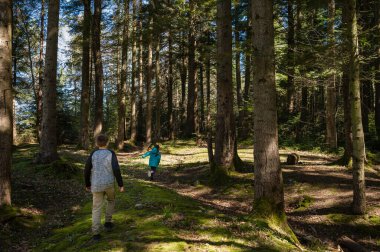 İki genç çocuk, yemyeşil bir ormanda ağaçların arasından süzülen güneş ışığı altında bir patika boyunca yürüyorlar. Sahne, doğada macera ve keşif hissi uyandırıyor..