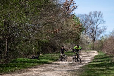 Bir adam ve bir çocuk ağaçlarla kaplı toprak bir yolda bisiklet sürüyorlar. Güneş ışığı yaprakların arasından süzülerek barışçıl bir atmosfer yaratır. Arka planda bir köpek görülüyor, sahnenin sükunetini artırıyor..