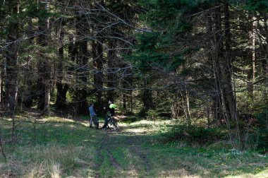 Sakin bir orman sahnesi. Bisikletli iki kişi bir yolda durup ormanın huzurlu atmosferinin tadını çıkarıyor. Güneş ışığı ağaçların arasından süzülür.