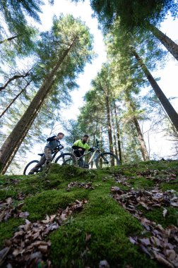 Dağ bisikleti süren iki kişi yosun ve yapraklarla kaplı yokuş yukarı bir yolda ilerliyorlar. Etraflarını saran uzun ağaçlar gölgeli bir orman ormanı oluşturuyor..