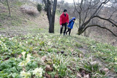 Sarı çiçeklerle kaplı bir yamaçta bir baba ve oğul yürüyor. Manzara huzurlu ve ilkbahar havası uyandırıyor..