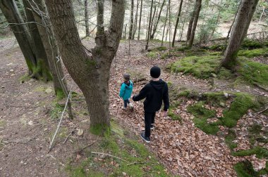 Çocuklar neşeli bir şekilde ağaçlarla ve yumuşak yosunlarla çevrili rengarenk sonbahar yapraklarıyla kaplı ormanda dolaşır doğanın güzelliğinin ve huzurunun tadını çıkarırlar..