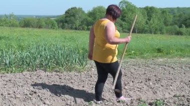 Bir kadın baharın başında patateslerin yanındaki çapayla toprağı gevşetiyor, ilkbaharda patates ekimi elle yapılıyor..