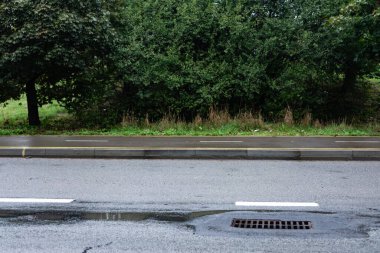 Yolun sakin bir kısmı, asfalta yakın zamanda yağan yağmuru yansıtan yoğun yapraklarla çevrilidir. Atmosfer sakin ve huzurlu, sakin bir yürüyüş için mükemmel..