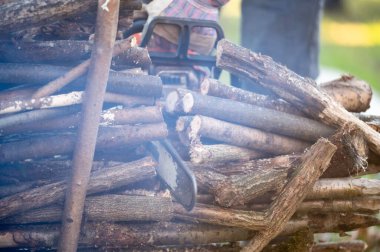 Öğleden sonra huzurlu bir ormanda yakacak odunları ustalıkla hazırlayan bir insan, doğayla ahşap koleksiyonu ve istifçilik arasındaki uyumu vurguluyor..