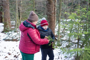 Kırmızı ceketli bir kadın ve koyu renk ceketli bir çocuk karla kaplı bir ormanda köknar dalına yakından bakıyor. Sahne huzurlu ve kışlık..