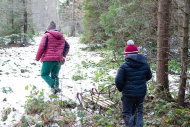 Arkalarında bir kızak bırakarak karlı bir orman yolunda yürüyen iki kişi. Sahne huzurlu ve kışlık, bir aile gezisi öneriliyor..