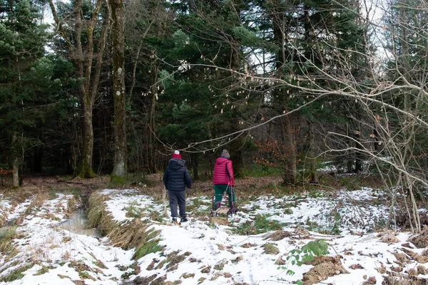 Bir çift genç çocuk kış gününün tadını çıkarıyor, karla kaplı bir orman patikasında geziniyorlar. Ağaçlar arasındaki karlı yolda küçük bir kızak çekerler..