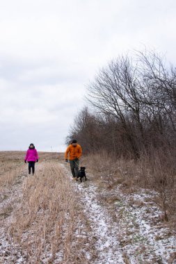 İki arkadaş, kış manzarası ve yapraksız ağaçlarla çevrili köpekleri ile karlı bir patika boyunca serinletici bir yürüyüş yapar..