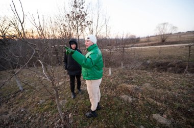 Güneş batarken, sakin bir kırsal alanda iki kişi ağaç bakımı hakkında sohbet ediyor. Ağaçlar, açık gökyüzü ile kışın işaretlerini taşır..