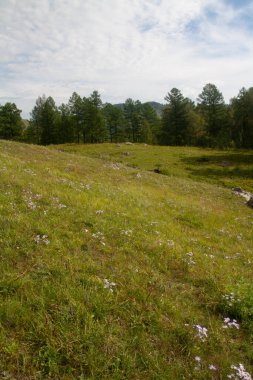 Yüksek tepeler ve gökyüzü - Hakassia Cumhuriyeti fotoğrafında Şaman 'ın doğal eseri.