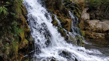 Ormandaki ulaşılamaz şelale dağlardaki taş ağaçlarının arasında.