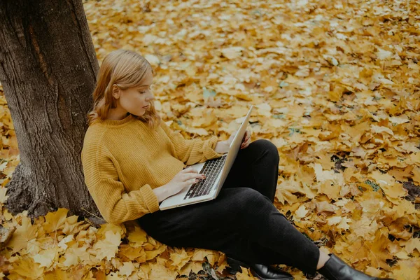 Una Hermosa Adolescente Sienta Parque Otoño Con Una Computadora Portátil — Foto de Stock
