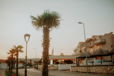 Günbatımının arka planında palmiye ağaçları. Akşam şehri, yaz atmosferi