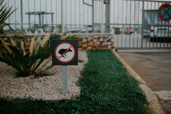 Firma Prohibiendo Pasear Perros Hierba Una Señal Para Que Los — Foto de Stock