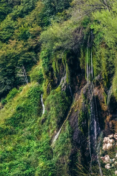 Belle Vue Dans Parc Des Lacs Plitvice Croatie Cascade — Photo