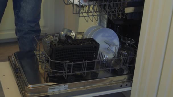 Built Dishwasher Dishwashing Woman Loads Washed Dishes Cups Glasses Woman — Stock Video