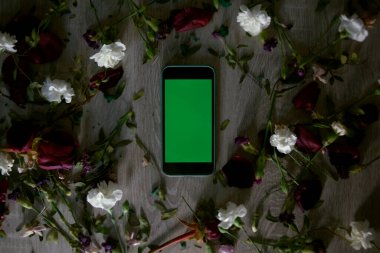 Ortasında yeşil ekran olan telefon kuru çiçeklerin etrafında duruyor. Çiçek teslimatı.