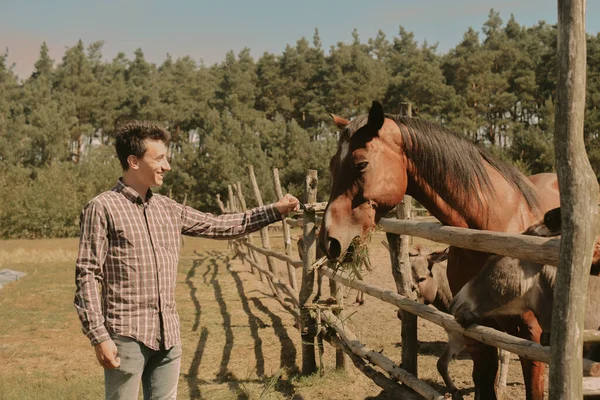 Hombre Mantiene Una Granja Alimenta Caballo Burro Con Hierba Hombre — Foto de Stock