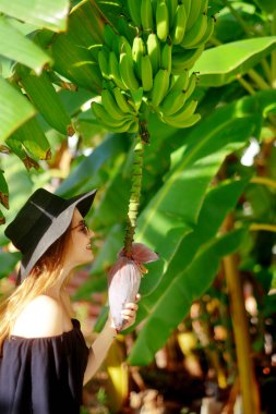 Doğayı keşfeden bir kız. Yeşil bir ağaçta yetişen muz ağacı, çiçek ve meyveleri inceliyor. Güzel kız. Yeşil muzlu kız. Tropik bölgelerdeki kız.