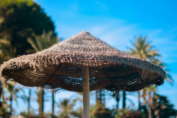 Meleg Fénykép Pálmafákról Esernyőkről Parton Gyönyörű Nyár Nyári Hangulat — Stock Fotó