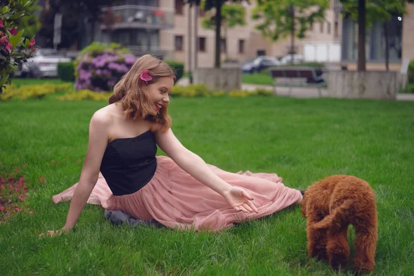 Ein Mädchen Einem Langen Rosafarbenen Kleid Sitzt Mit Ihrem Hund — Stockfoto