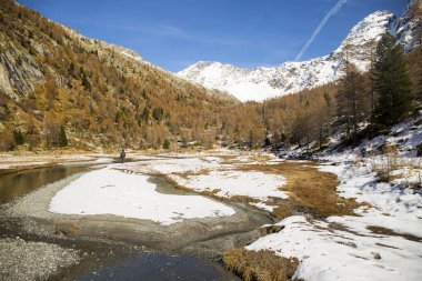 Sonbaharın sonlarında, güneşli bir günde ilk kar yağarken Preda Rossa Vadisi 'nde yürüyüş yapan bir adam. Val Masino, Lombardy, İtalya.