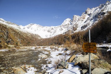 Güneşli bir günde kar ve turuncu çam ağaçlarıyla sonbaharda Preda Rossa Vadisi 'nden aydınlatıcı bir işaret ve dağ manzarası. Val Masino, Lombardy, İtalya.