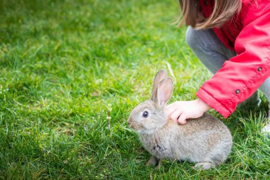 Küçük çocuk yeşil çimlerin üzerinde Paskalya tavşanına sarılıyor. Bahar arkaplanı, kopyalama alanı olan duvar kağıdı.