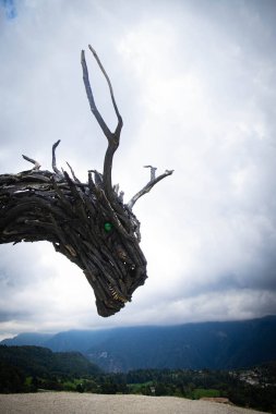 Dünyanın en büyük tahta ejderha heykeli Drago Vaia 'nın muhteşem yüzü, sanatçı Marco Martalar tarafından, bulutlu bir günde kara fırtınalı bir gökyüzü, yan manzara, profil portresi. Lavarone, Trentino, İtalya. Dikey çekim.