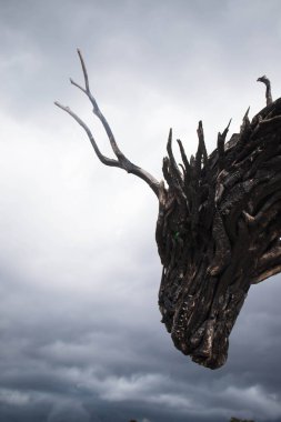 Dünyanın en büyük tahta ejderha heykeli Drago Vaia 'nın muhteşem yüzü, sanatçı Marco Martalar tarafından, bulutlu bir günde kara fırtınalı bir gökyüzü, yan manzara, profil portresi. Lavarone, Trentino, İtalya. Dikey çekim.