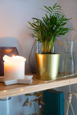 Bir Chamaedorea elegans bitkisi ya da yanan bir mumun yakınındaki ahşap bir rafta bulunan altın bir saksı içindeki Salon Palmiyesi. Dikey çekim.