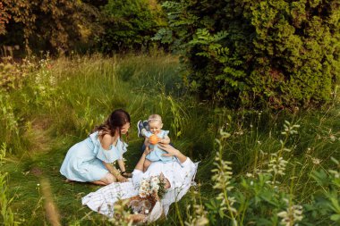 Parkta piknik yapan küçük kızla mutlu bir aile.