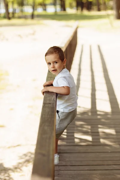 Портрет Маленького Мальчика Парке — стоковое фото