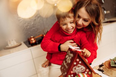 Genç, güzel anne ve oğlu Noel 'de evdeler.