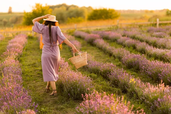 Beautiful Young Woman Field Lavenders — Fotografia de Stock