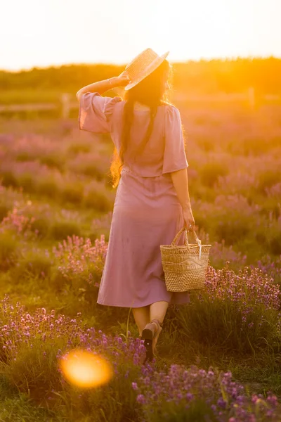 Beautiful Young Woman Field Lavenders — Fotografia de Stock