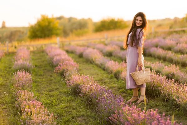 Beautiful Young Woman Field Lavenders — Fotografia de Stock